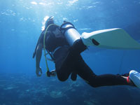 １日コース　西表島バラス島周辺＆鳩間島+体験ダイビング♪