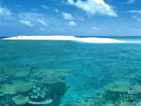 半日コース　気軽にバラス島でのシュノーケリング